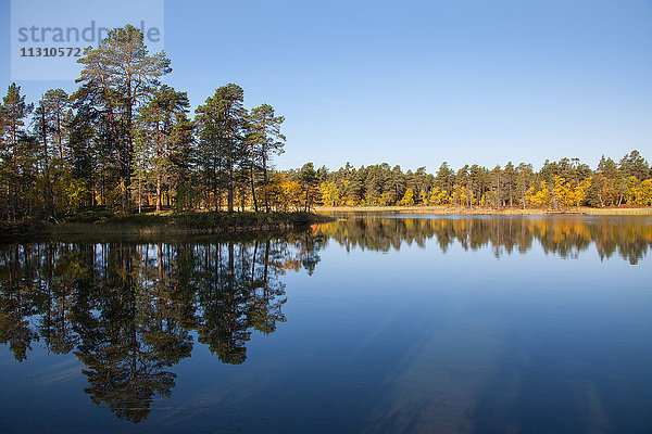 Bäume  Europa  Finnland  Herbst  Herbstfarben  Landschaft  Landschaft  Lappland  See  Skandinavien  Reflexion  Holz  Wald  Wasser