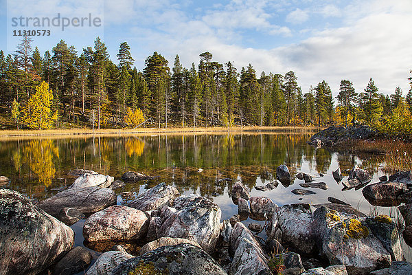 Bäume  Europa  Finnland  Herbst  Herbstfarben  Landschaft  Landschaft  Lappland  See  Skandinavien  Reflexion  Holz  Wald  Wasser