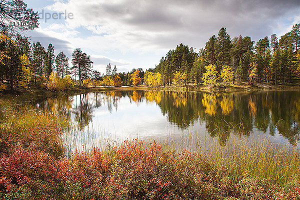 Bäume  Europa  Finnland  Herbst  Herbstfarben  Landschaft  Landschaft  Lappland  See  Skandinavien  Spiegelung  Holz  Wald  Wasser