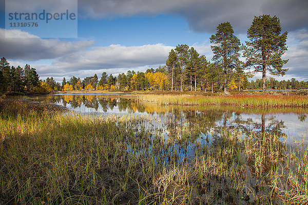 Europa  Finnland  Herbst  Herbstfarben  Inari-See  Landschaft  Landschaft  Lappland  See  Skandinavien  Wasser