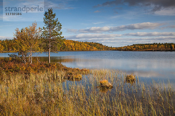 Europa  Finnland  Herbst  Herbstfarben  Landschaft  Landschaft  Lappland  See  Skandinavien  Wasser