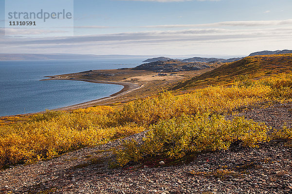 Europa  Fjord  Herbst  Herbstfarben  Landschaft  Landschaft  Lappland  Meer  Norwegen  Skandinavien  Varangerfjord  Wasser