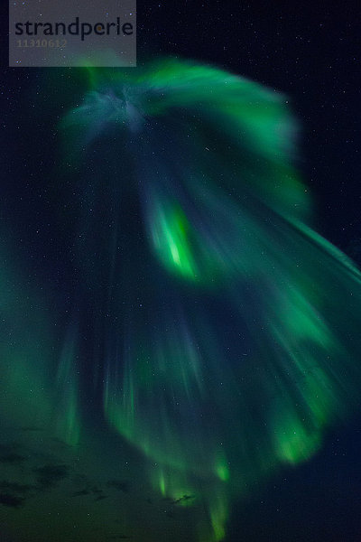 Aurora Borealis  Europa  Herbst  Phänomen  Lappland  Licht  Nacht  Nordlicht  Norwegen  Polarlicht  Skandinavien  Vestertana