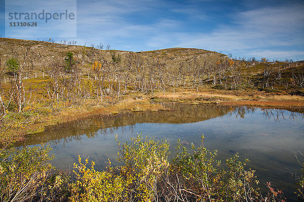 Berge  Europa  Fjell  Herbst  Herbstfarben  Landschaft  Landschaft  Lappland  Norwegen  See  Skandinavien  Wasser