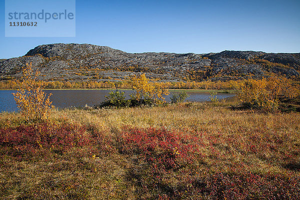 Berge  Europa  Herbst  Herbstfarben  Landschaft  Landschaft  Lappland  Norwegen  See  Skandinavien  Wasser
