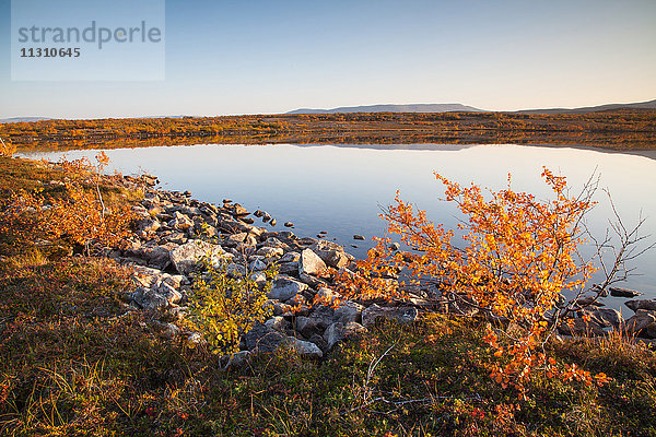Europa  Fjell  Herbst  Herbstfarben  Landschaft  Lappland  Licht  Stimmung  Norwegen  See  Skandinavien  Sonnenuntergang  Sonnenuntergang  Reflexion  Wasser