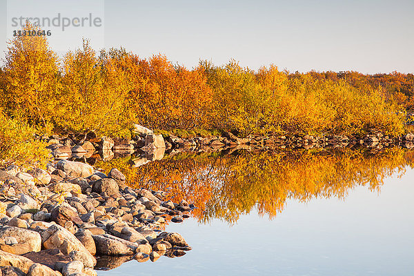 Europa  Fjell  Herbst  Herbstfarben  Landschaft  Lappland  Licht  Stimmung  Norwegen  See  Skandinavien  Sonnenuntergang  Sonnenuntergang  Reflexion  Wasser