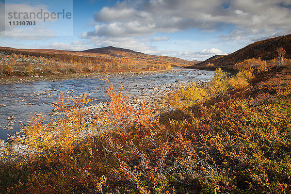 Europa  Fjell  Fluss  Strömung  Herbst  Herbstfarben  Landschaft  Landschaft  Lappland  Norwegen  Skandinavien  Wasser
