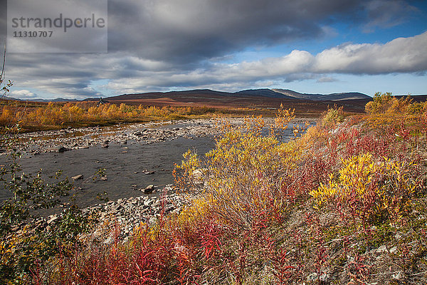 Europa  Fjell  Fluss  Strömung  Herbst  Herbstfarben  Landschaft  Landschaft  Lappland  Norwegen  Sennalandet  Skandinavien  Wasser  Aisaroaivi