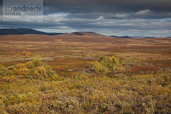 Europa  Fjell  Herbst  Herbstfarben  Landschaft  Landschaft  Lappland  Norwegen  Sennalandet  Skandinavien