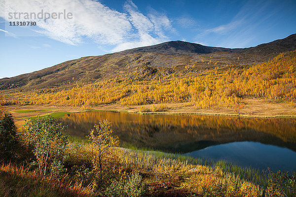 Berge  Europa  Herbst  Herbstfarben  Landschaft  Landschaft  Lappland  Norwegen  See  Skandinavien  Reflexion  Wasser