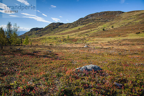 Berge  Europa  Fjell  Herbst  Herbstfarben  Landschaft  Landschaft  Lappland  Norwegen  Skandinavien