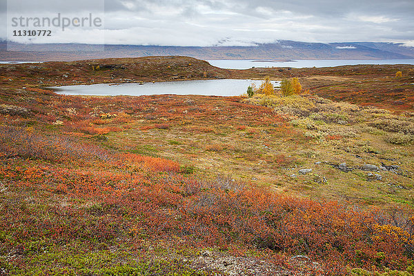 Berge  Björkliden  Europa  Fjell  Herbst  Herbstfarben  Landschaft  Landschaft  Lappland  Schwede  See  Skandinavien  Wasser