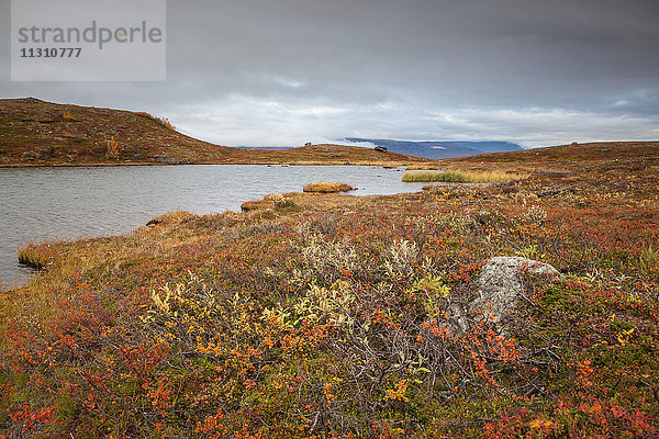 Björkliden  Europa  Fjell  Herbst  Herbstfarben  Landschaft  Landschaft  Lappland  Schwede  See  Skandinavien  Wasser