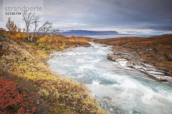 Bach  Björkliden  Europa  Fjell  Herbst  Herbstfarben  Landschaft  Landschaft  Lappland  Schweden  Skandinavien  Wasser