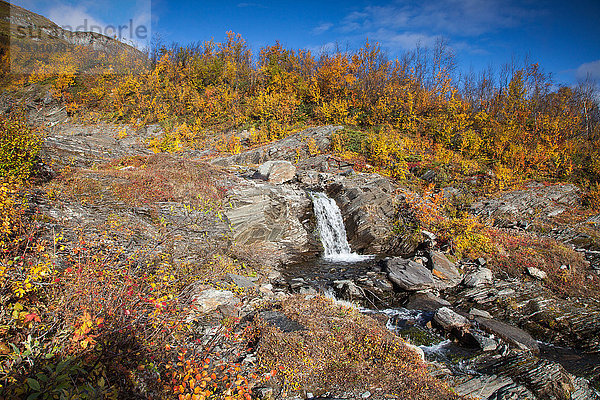 Abisko  Nationalpark  Bach  Berge  Europa  Herbst  Herbstfarben  Landschaft  Landschaft  Lappland  Njulla  Schweden  Skandinavien  Wasser  Wasserfall
