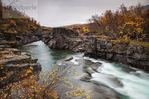 Abisko  Nationalpark  Abiskojokka  Canyon  Europa  Fluss  Strömung  Herbst  Herbstfarben  Landschaft  Landschaft  Lappland  Schweden  Skandinavien  Wasser