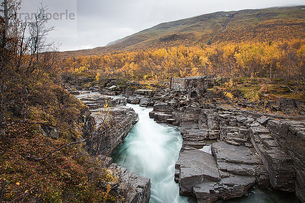 Abisko  Nationalpark  Abiskojokka  Canyon  Europa  Fluss  Strömung  Herbst  Herbstfarben  Landschaft  Landschaft  Lappland  Schweden  Skandinavien  Wasser
