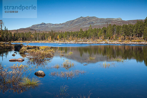 Berge  Europa  Herbst  Herbstfarben  Landschaft  Landschaft  Lappland  Schweden  See  Skandinavien  Spiegelung  Stora Sjöfallets  Nationalpark  Wald  Wasser