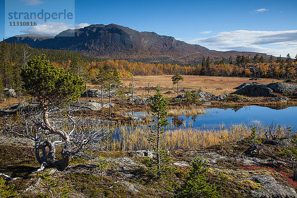 Berge  Bäume  Europa  Felsen  Klippe  Herbst  Herbstfarben  Landschaft  Landschaft  Lappland  Moor  Schwede  See  Skandinavien  Spiegelung  Steine  Stora Sjöfallets  Nationalpark  Moor  Wasser