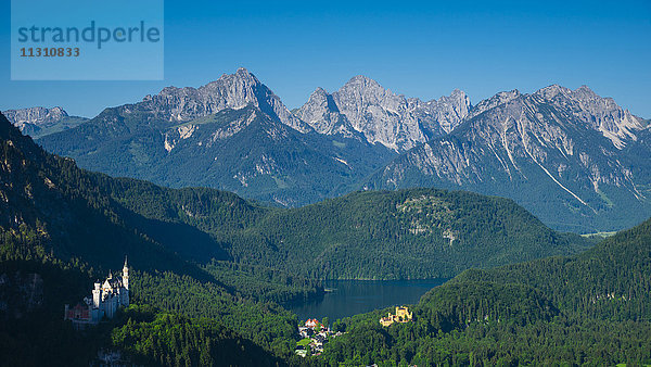 Schloss  Neuschwanstein  Hohenschwangau  Füssen  Ostallgäu  Allgäu  Bayern  Deutschland  Europa