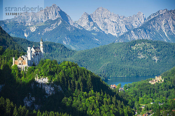 Schloss  Neuschwanstein  Hohenschwangau  Füssen  Ostallgäu  Allgäu  Bayern  Deutschland  Europa