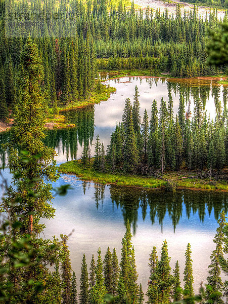 Denali  Nationalpark  Alaska  USA  See  Seelandschaft  Landschaft  Bäume  Tannen  Wasser  Landschaft  Landschaft