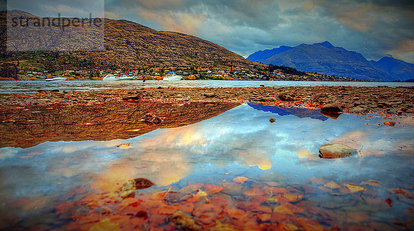 Frankton  Queenstown  Herbst  Neuseeland  Reflexion  Wasser  See  Blätter  Herbststimmung  Bunt  Landschaft  Landschaft