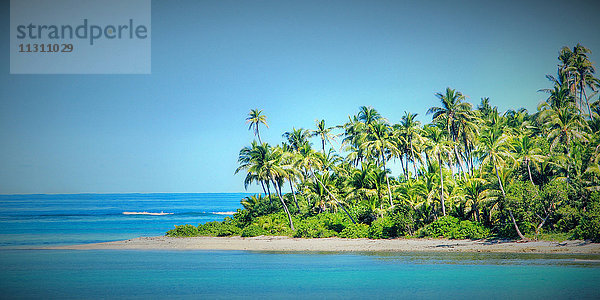 Fidschi  Südpazifik  Palmen  Strand  Küste  Meer  Insel  Paradise Cove  Paradies  Idylle  Sandstrand  Sand  Türkis