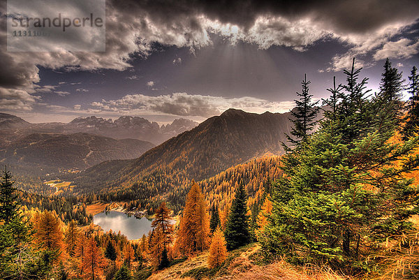 Adamello  Nationalpark  Brenta  Südtirol  Italien  Herbst  Lärchen  gelbe Lärchen  Berge  Szenerie  Landschaft  Herbststimmung  Bäume  Bergsee