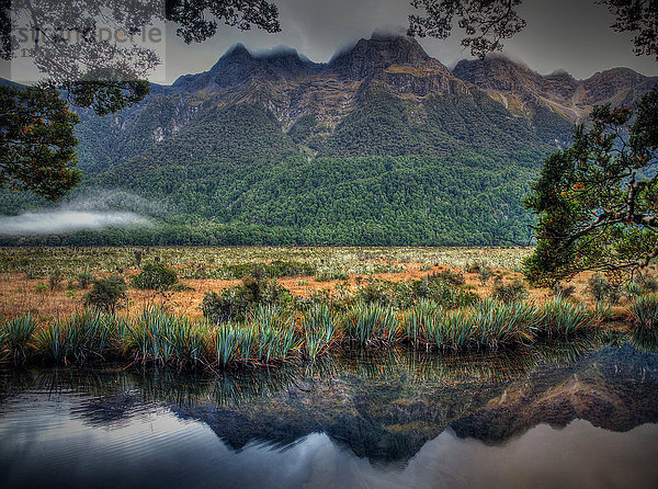 Mirror Lake  Neuseeland  Milford Sound  Spiegelung  Bäume  Berge  See  Wolken  Harmonie  schlechtes Wetter  grün