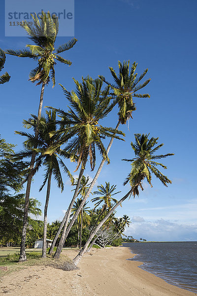 USA  Hawaii  Molokai  Palmenstrand