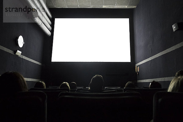 Leute  die sich einen Film im Kino ansehen.