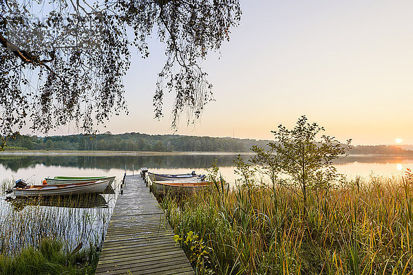 Boote an der Anlegestelle