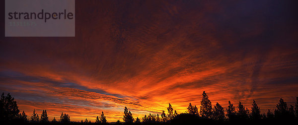 USA  Oregon  Sonnenaufgang  Farbe  roter Himmel  Panorama
