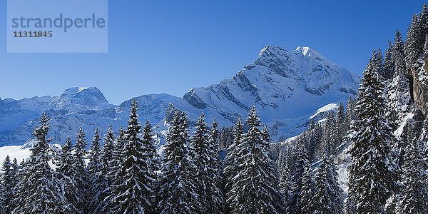 Ortstock und Tödi  Glarner Alpen  Schweiz