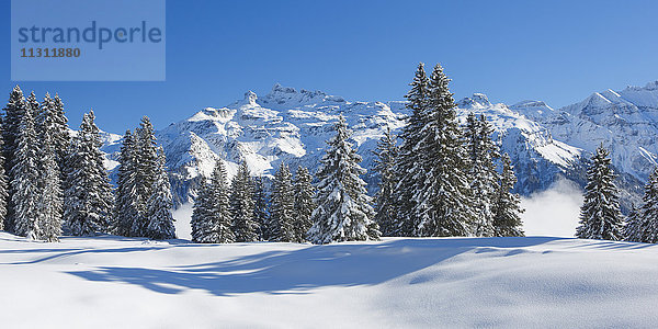Freiberge  Kärpf  Glarner Alpen  Schweiz