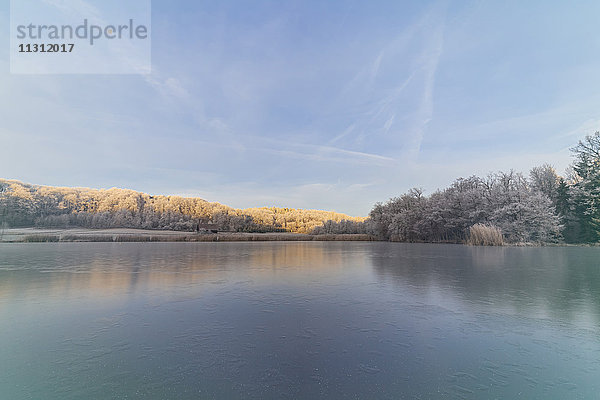 Deutschland  Baden-Württemberg  gefrorener Neumühlsee im Winter