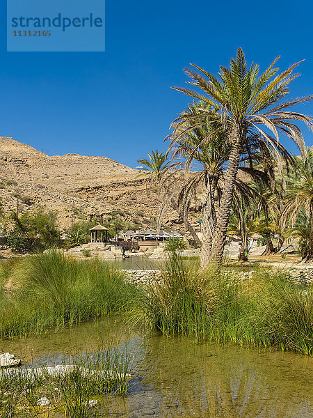 Oman  Sharqiyah  Oase im Wadi Bani Khalid