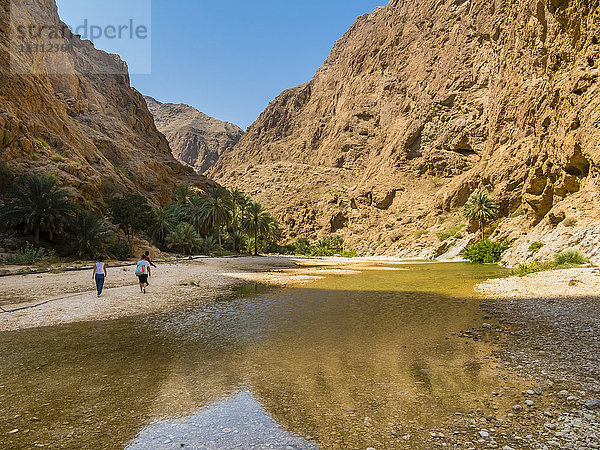 Oman  Wadi Tiwi