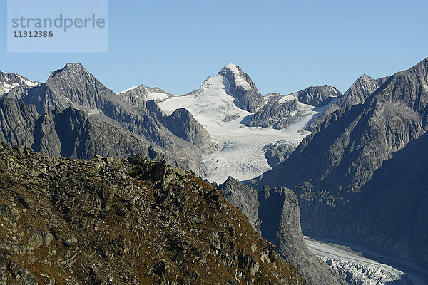 Eggishorn  Aussicht  Berge  Finsteraarhorn  Grosses Wannenhorn  Gletscher von Fiesch  Alpen  Kanton Wallis  Schweiz