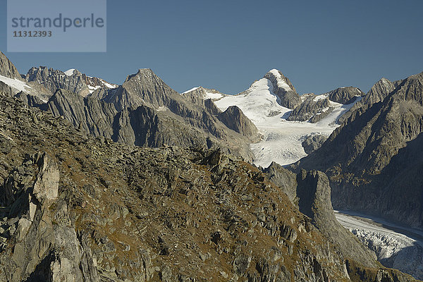 Eggishorn  Aussicht  Berge  Finsteraarhorn  Grosses Wannenhorn  Gletscher von Fiesch  Alpen  Kanton Wallis  Schweiz