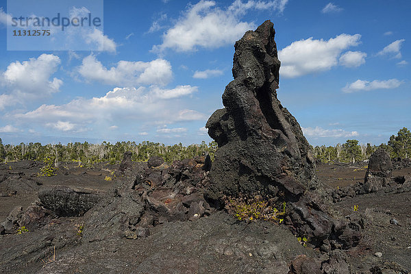 USA  Vereinigte Staaten  Amerika  Hawaii  Big Island  Volcanoes National Park  UNESCO  Weltkulturerbe  Lavawüste entlang der Chain of Craters Road