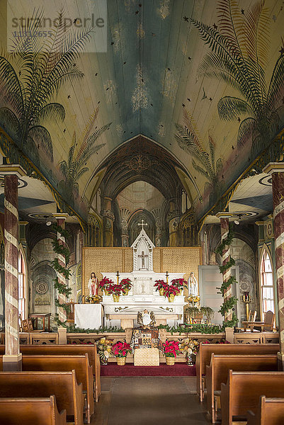 USA  Vereinigte Staaten  Amerika  Hawaii  Big Island  South Kona  St. Benedicts Painted Church