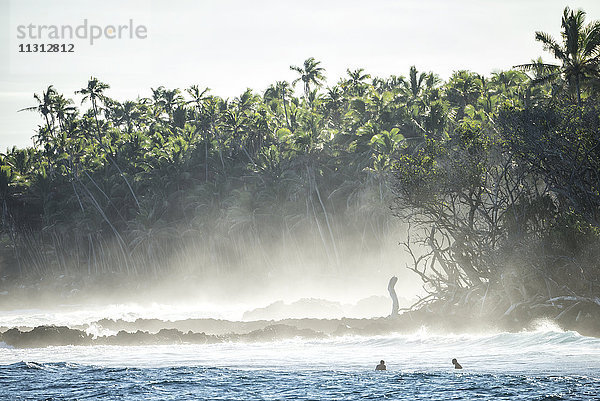 USA  Vereinigte Staaten  Amerika  Hawaii  Big Island  Puna-Küste  Isaac Hale Park