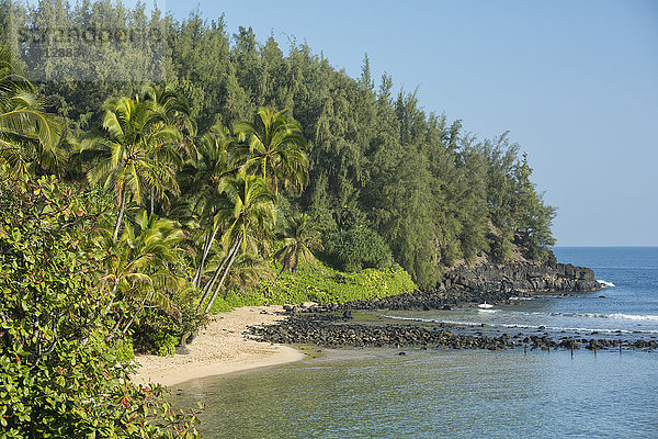USA  Vereinigte Staaten  Amerika  Hawaii  Insel  Kauai  Hanalei  Na Pali  Küste (m)