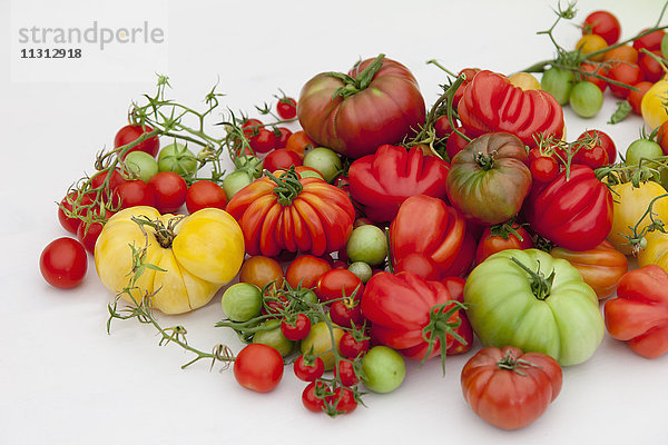 Verschiedene Tomatenarten auf weißem Hintergrund