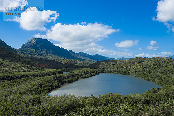 USA  Vereinigte Staaten  Amerika  Südpazifik  Hawaii  Kauai  Lihue  alekoko menehune fishpond