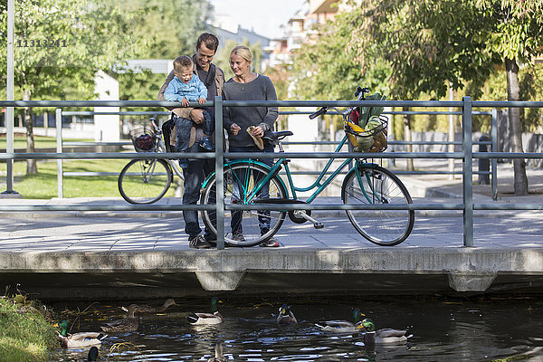 Porträt der Eltern mit Sohn im Park