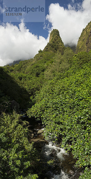 USA  Vereinigte Staaten  Amerika  Hawaii  Maui  Kahului  Iao Valley  Iao Needle  State Park